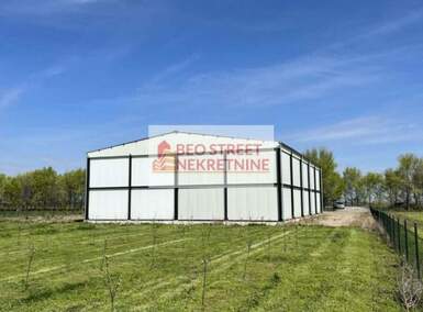 Poslovni prostor / Lokal, Pančevo, Omoljica, izdavanje, 667m2, 1500e, id1454243