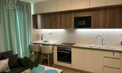 Jednosoban stan, Novi Sad, izdavanje, 38m2, 400e, id1454252