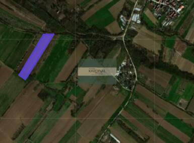 Plac, Jagodina, Vinorača, prodaja, 0m2, 7699e, id1454304