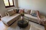 Jednoiposoban stan, Novi Sad, izdavanje, 45m2, 500e, id1454334