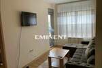 Dvosoban stan, Beograd, Crveni Krst, izdavanje, 40m2, 600e, id1454342
