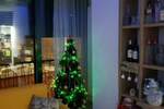 Trosoban stan, Novi Sad, izdavanje, 80m2, 800e, id1454351