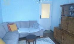 Dvoiposoban stan, Novi Sad, izdavanje, 62m2, 550e, id1454354