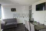 Jednoiposoban stan, Niš, Palilula, izdavanje, 33m2, 300e, id1454431