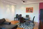 Dvosoban stan, Novi Sad, izdavanje, 50m2, 400e, id1454481