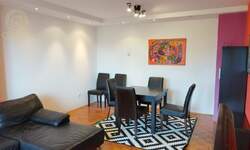 Dvosoban stan, Novi Sad, izdavanje, 50m2, 400e, id1454481