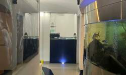 Poslovni prostor / Lokal, Novi Sad, izdavanje, 70m2, 1000e, id1454486