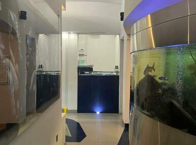 Poslovni prostor / Lokal, Novi Sad, izdavanje, 70m2, 1000e, id1454486