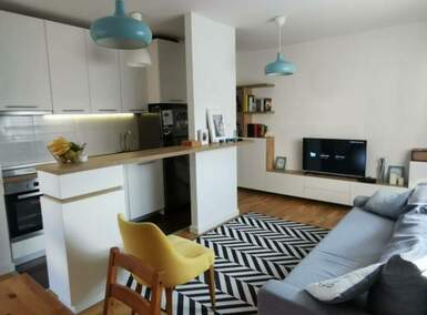 Jednoiposoban stan, Beograd, Gornji Grad, izdavanje, 41m2, 850e, id1454493