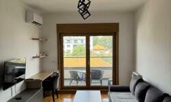 Jednoiposoban stan, Beograd, Crveni Krst, izdavanje, 43m2, 800e, id1454494