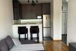 Jednoiposoban stan, Beograd, Crveni Krst, izdavanje, 43m2, 800e, id1454494