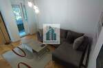Jednoiposoban stan, Niš, Bulevar Nemanjica, izdavanje, 42m2, 350e, id1454497