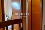Jednosoban stan, Novi Sad, Nova Detelinara, izdavanje, 27m2, 150e, id1454508