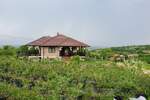 Kuca, Bujanovac, prodaja, 250m2, 1e, id1454537