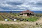 Kuca, Bujanovac, prodaja, 250m2, 1e, id1454537