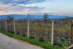 Kuca, Bujanovac, prodaja, 250m2, 1e, id1454537