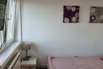 Jednosoban stan, Beograd, izdavanje, 20m2, 450e, id1454559