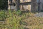 Kuca, Beograd, Vranic, prodaja, 400m2, 130000e, id1454599