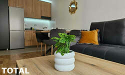 Dvosoban stan, Novi Sad, Centar, prodaja, 37m2, 125800e, id1454604