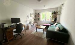 Dvosoban stan, Kragujevac, izdavanje, 55m2, 300e, id1454660