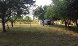 Kuca, Pećinci, prodaja, 49m2, 55000e, id1454682