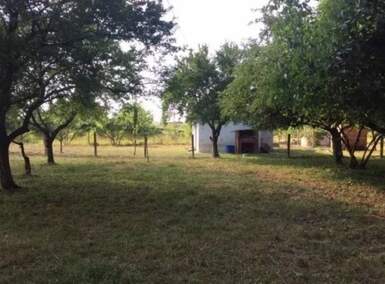 Kuca, Pećinci, prodaja, 49m2, 55000e, id1454682