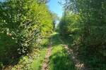 Kuca, Boljevac, Ilino, prodaja, 45m2, 38000e, id1261890