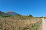 Plac, Boljevac, Ilino, prodaja, 0m2, 31200e, id1261891