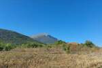 Plac, Boljevac, Ilino, prodaja, 0m2, 31200e, id1261891