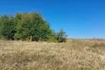 Plac, Boljevac, Ilino, prodaja, 0m2, 31200e, id1261891
