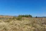 Plac, Boljevac, Ilino, prodaja, 0m2, 31200e, id1261891