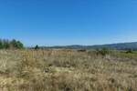 Plac, Boljevac, Ilino, prodaja, 0m2, 31200e, id1261891
