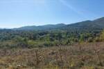 Plac, Boljevac, Ilino, prodaja, 0m2, 31200e, id1261891