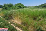 Plac, Beograd, Veliki Borak, prodaja, 0m2, 78000e, id1396063