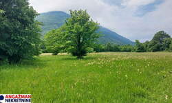 Plac, Boljevac, Mirovo, prodaja, 0m2, 111954e, id1389181