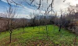 Stan, Boljevac, Jablanica, prodaja, 0m2, 8500e, id1288636