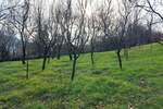 Stan, Boljevac, Jablanica, prodaja, 0m2, 8500e, id1288636