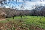 Stan, Boljevac, Jablanica, prodaja, 0m2, 8500e, id1288636