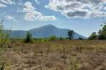 Plac, Boljevac, Ilino, prodaja, 0m2, 41500e, id1265542