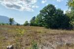 Plac, Boljevac, Ilino, prodaja, 0m2, 41500e, id1265542