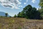 Plac, Boljevac, Ilino, prodaja, 0m2, 41500e, id1265542