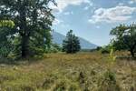 Plac, Boljevac, Ilino, prodaja, 0m2, 41500e, id1265542