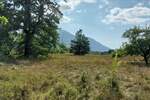 Plac, Boljevac, Ilino, prodaja, 0m2, 41500e, id1265542