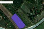 Plac, Boljevac, Ilino, prodaja, 0m2, 41500e, id1265542