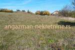 Plac, Boljevac, Dobro polje, prodaja, 0m2, 16600e, id826466