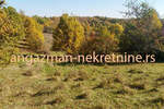 Plac, Boljevac, Lukovo, prodaja, 0m2, 26500e, id822358