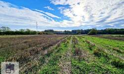 Plac, Lajkovac, Bajevac, prodaja, 0m2, 38000e, id1454815