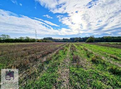 Plac, Lajkovac, Bajevac, prodaja, 0m2, 38000e, id1454815