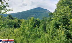 Plac, Boljevac, Mirovo, prodaja, 0m2, 10300e, id1391750