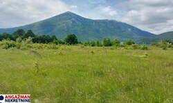 Plac, Boljevac, Mirovo, prodaja, 0m2, 40800e, id1391751